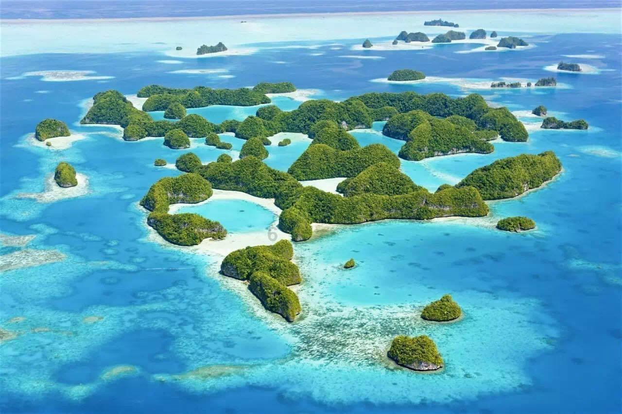 混乱特工